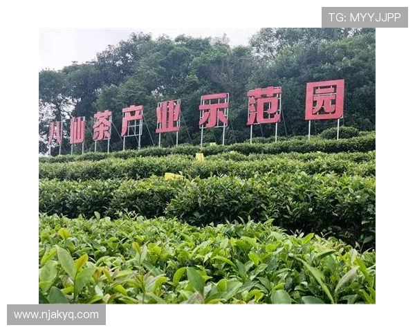 宁波町渥打造创新产业与海港融合示范区引领区域高质量发展新格局