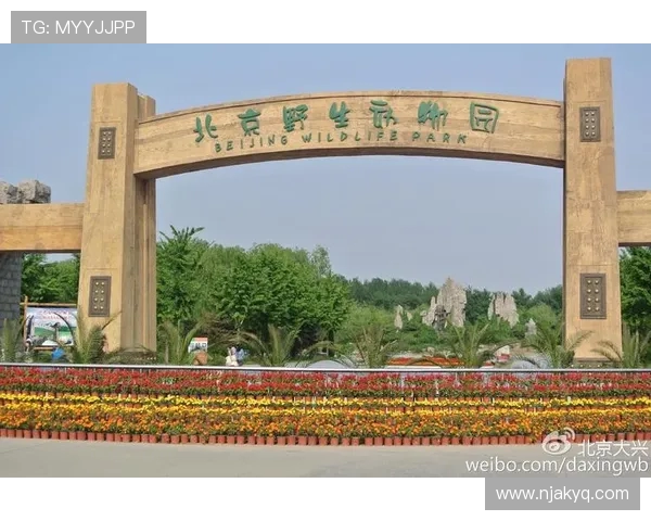 北京WB科技创新引领未来 数字经济与绿色发展融合共进 北京WB科技创新引领未来 数字经济与绿色发展融合共进