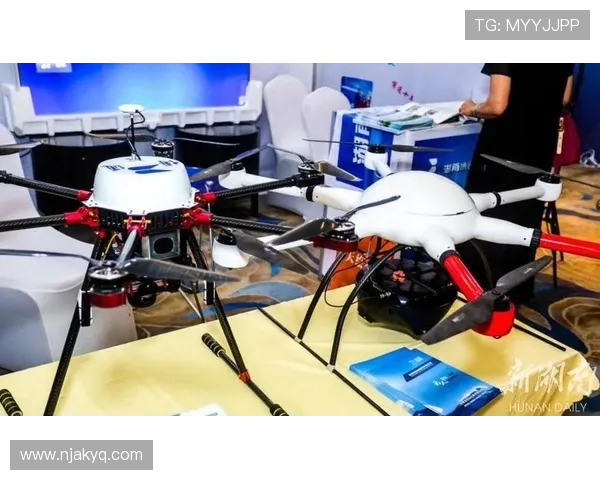 英雄联盟战队V5的转型之路与未来发展解析