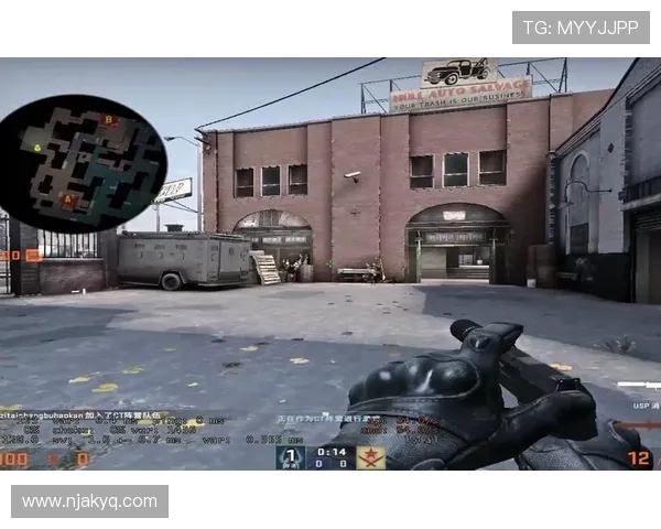 陈丽专访：从新手到高手的CSGO成长之路与心路历程回顾